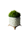 نبات grass الصناعية - نوكتس
