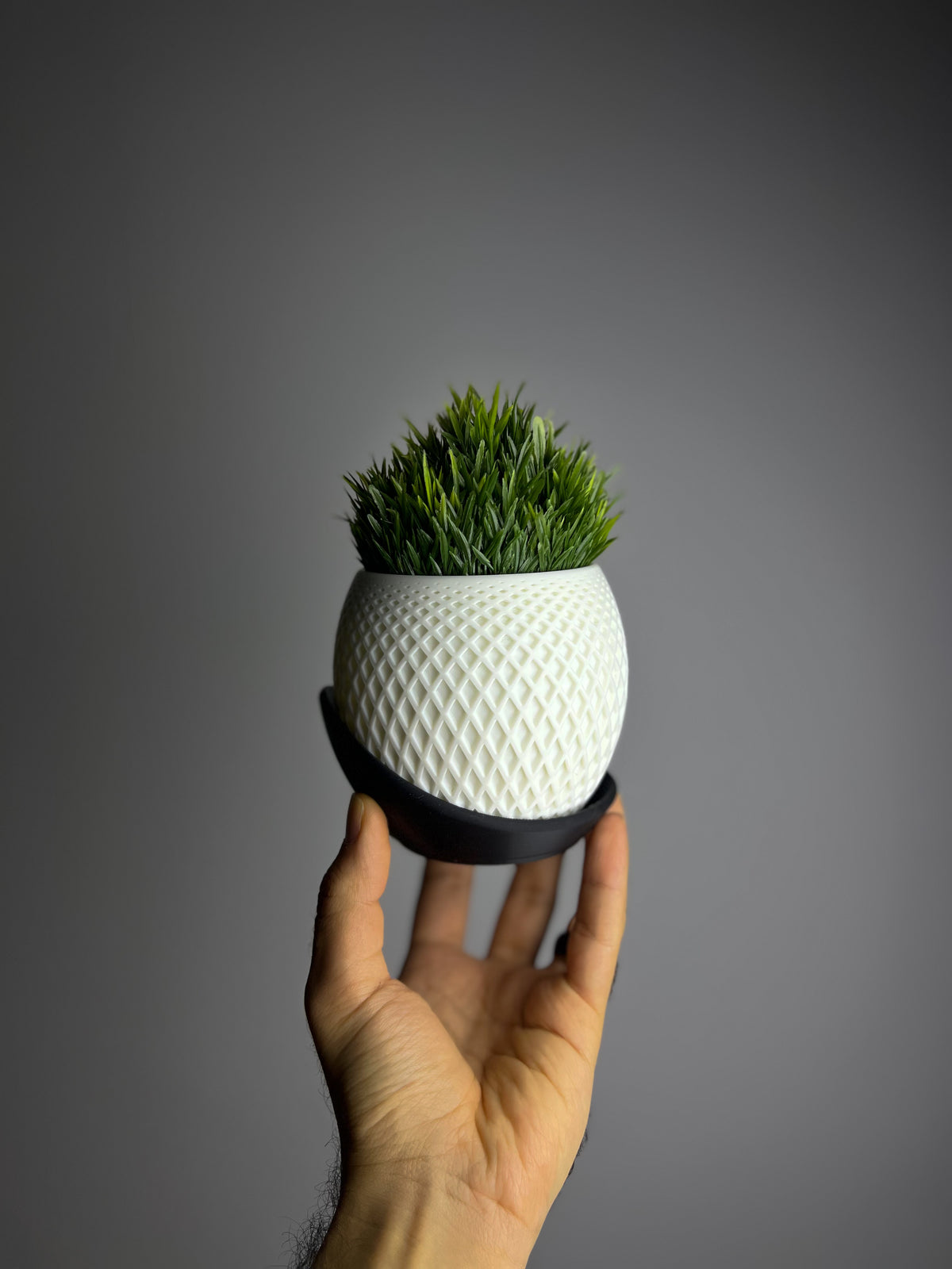 نبتة GRASS الصناعية - NOCT.X