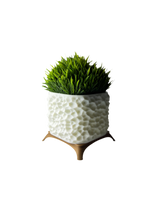 نبات grass الصناعية - نوكتس