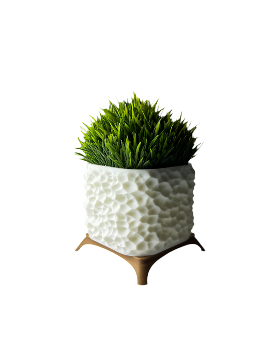 نبات grass الصناعية