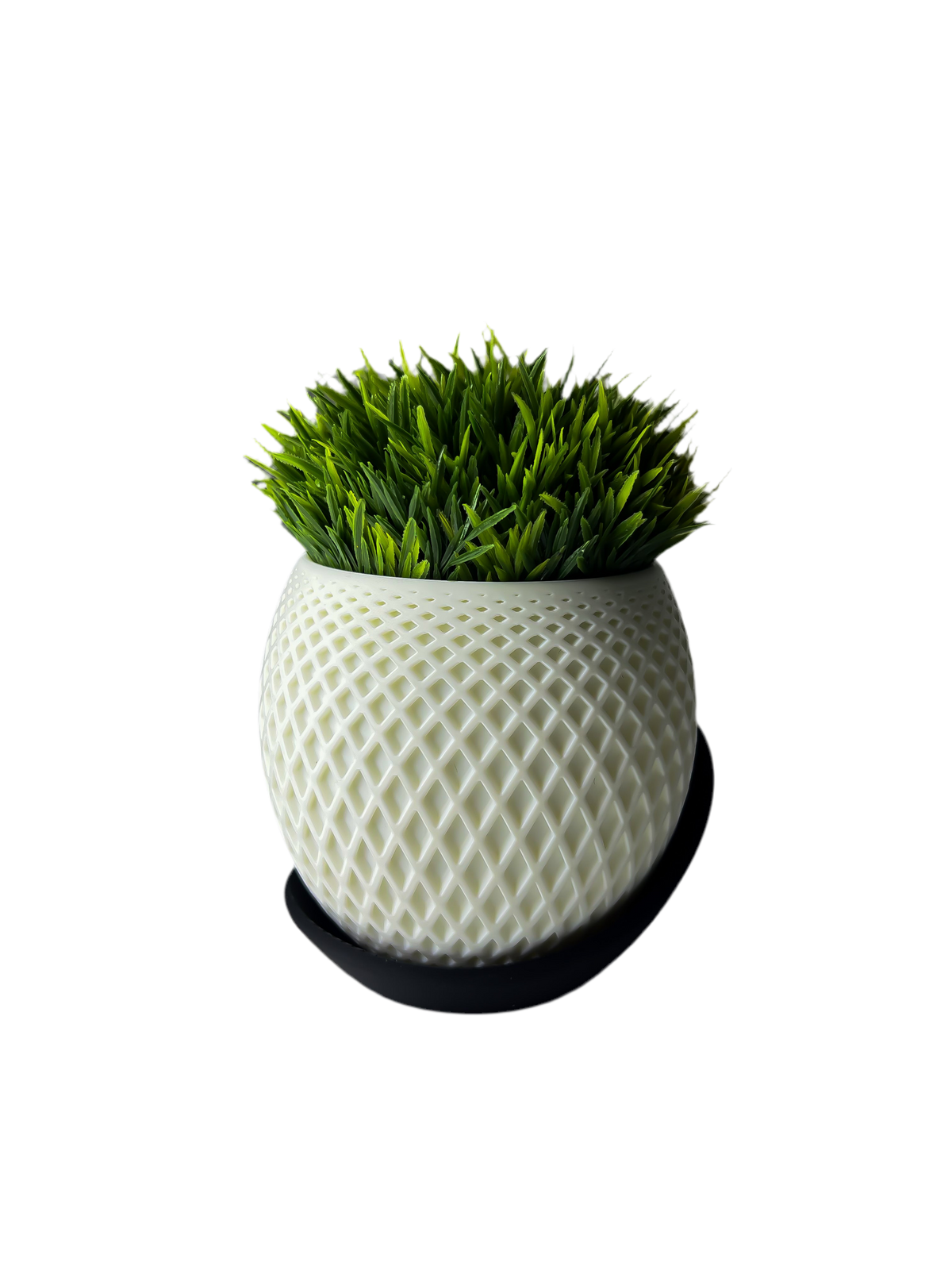 نبات GRASS الصناعية - نوكتس
