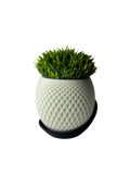 نبات GRASS الصناعية - نوكتس