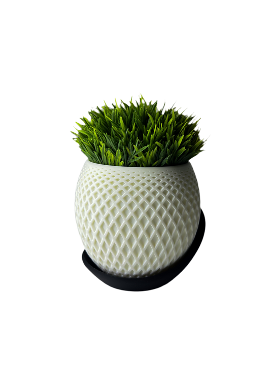 نبات GRASS الصناعية