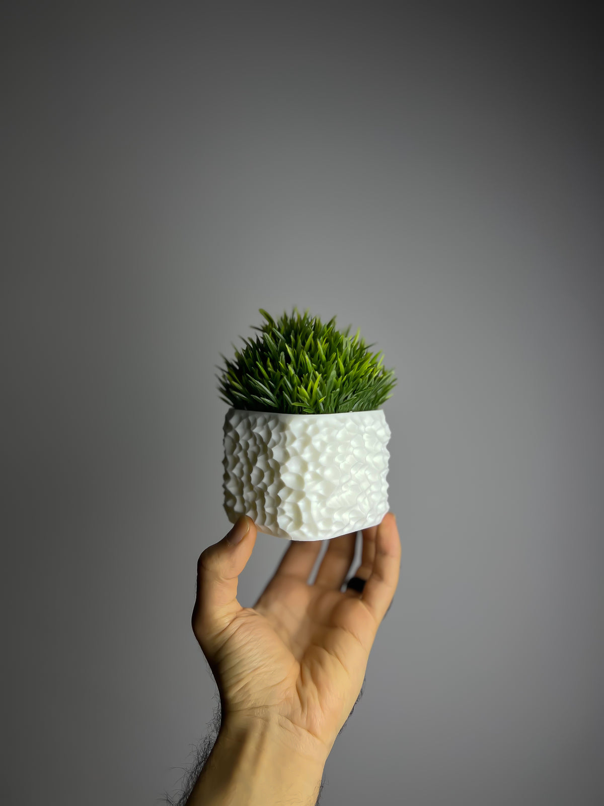 نبتة grass الصناعية - NOCT.X