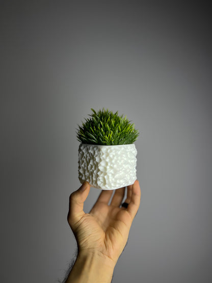 نبتة grass الصناعية - NOCT.X