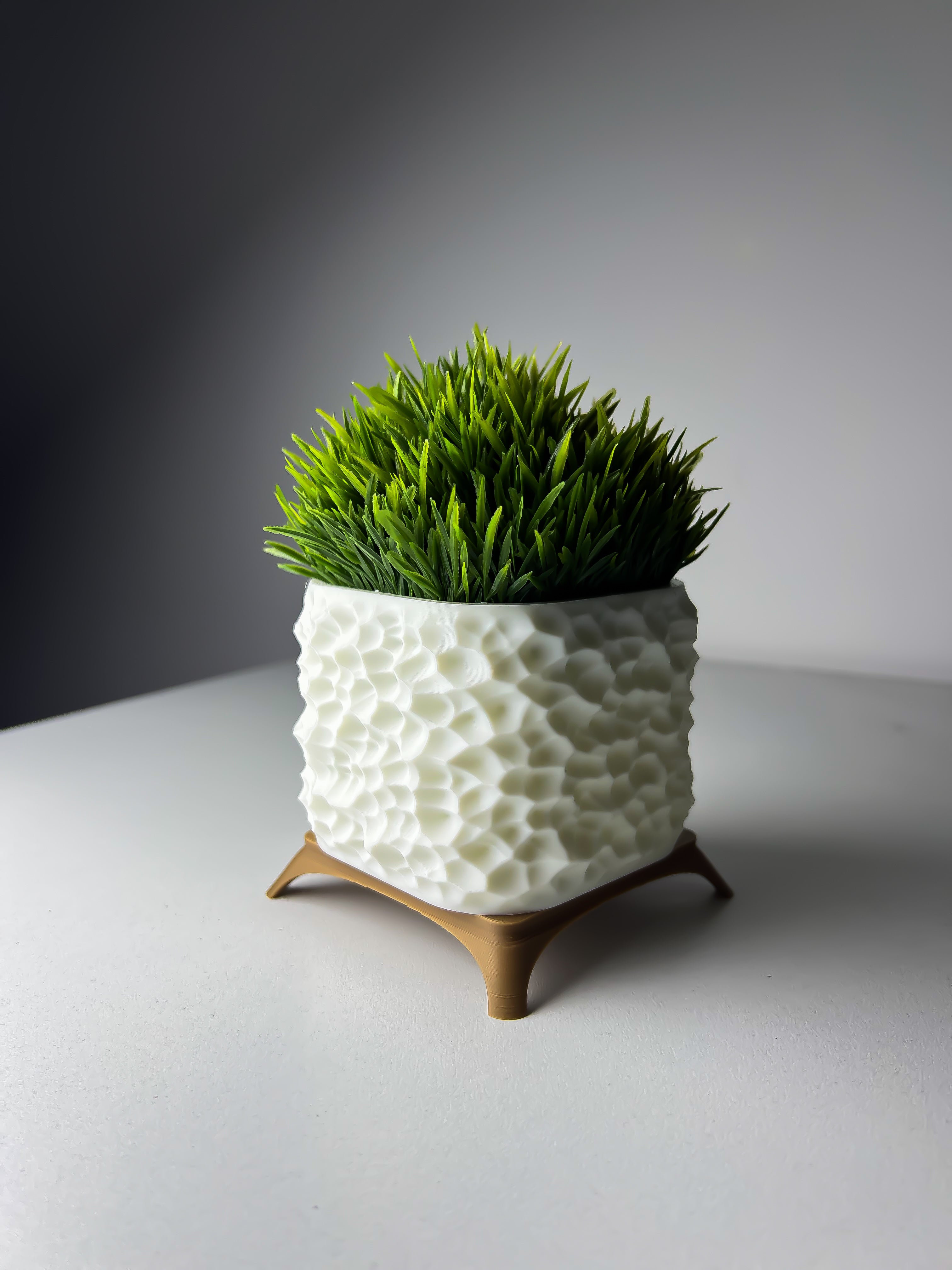 نبتة grass الصناعية - NOCT.X
