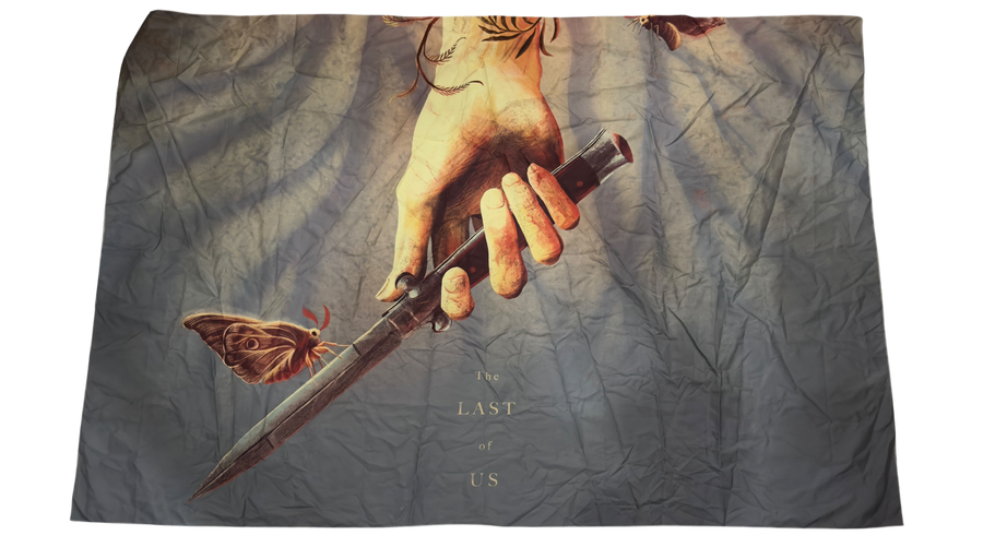 لوحة / جدارية The last of us